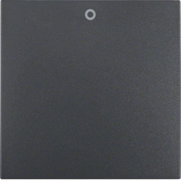 Berker Wippe m Aufdr 0 S.1/B.3/B.7 anthrazit ma Berker Wippe m Aufdr 0 S.1/B.3/B.7 anthrazit ma