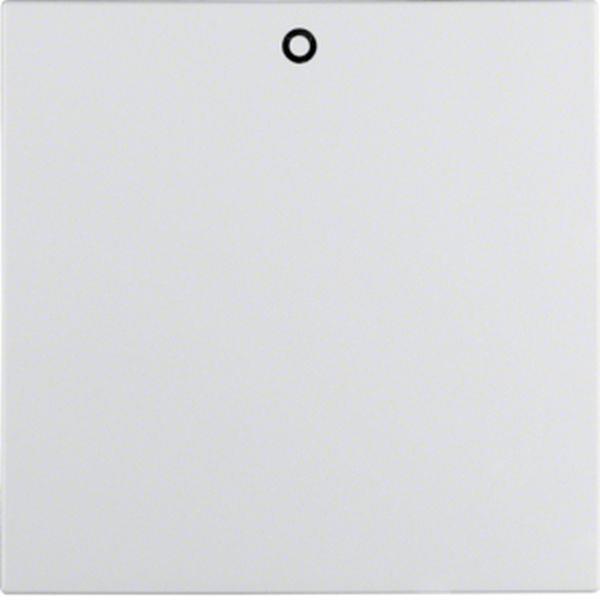 Berker Wippe m Aufdruck 0 S.1/B.3/B.7 pw Berker Wippe m Aufdruck 0 S.1/B.3/B.7 pw