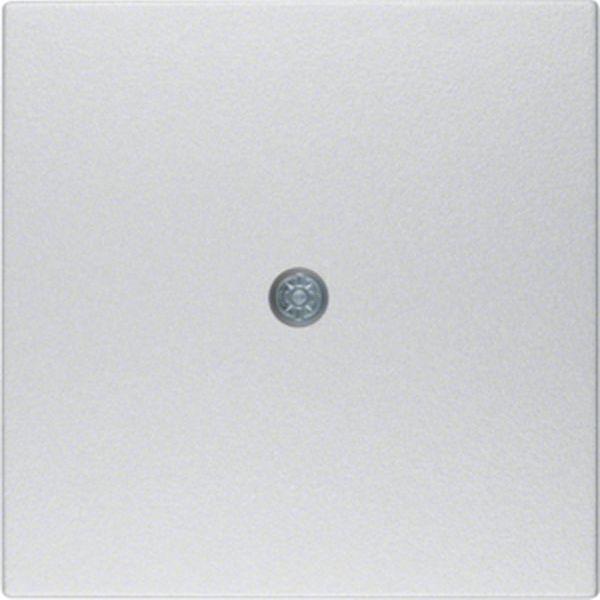 Berker Zentralstück B1 Alu für Fernmeldetechn