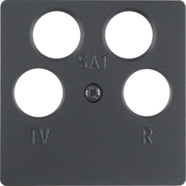 Berker Zentralplatte für Ant.Do 4Loch anthrazit Berker Zentralplatte für Ant.Do 4Loch anthrazit