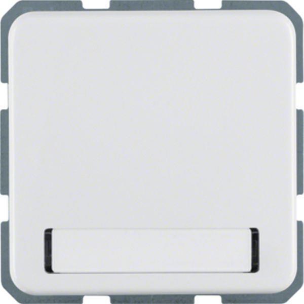 Berker Steckdose mit Klappd. u BF WG UP IP44 pw