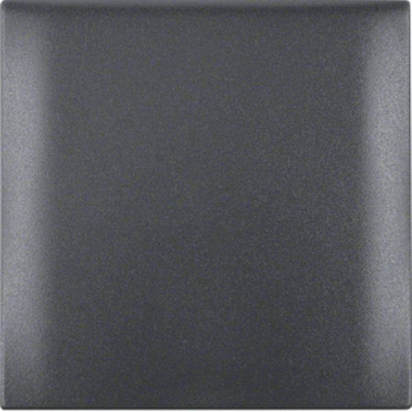 Berker Rahmen 1f m Klappdeckel ITG Flow anth