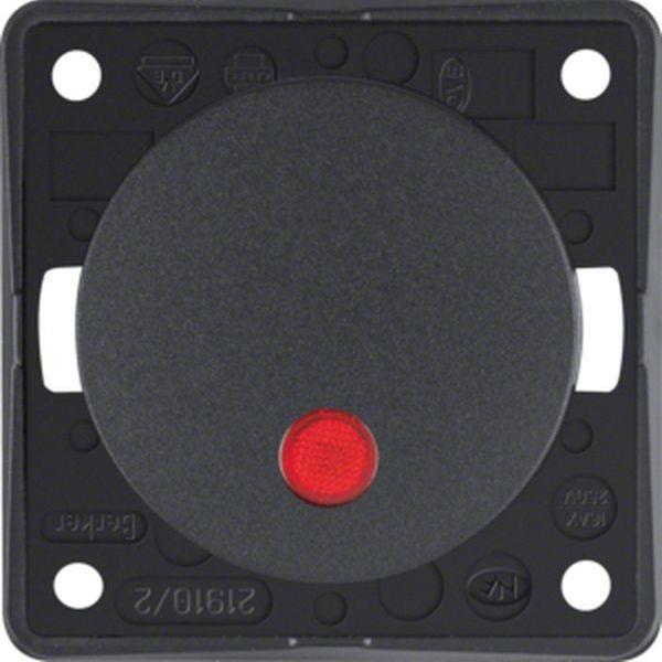 Berker Kontr.-Aussch. 2p Aufd., Flow/Pure, ant