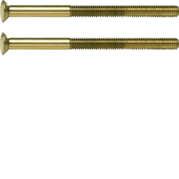 Berker System TS Zwei Loch Schraube mit Linse
