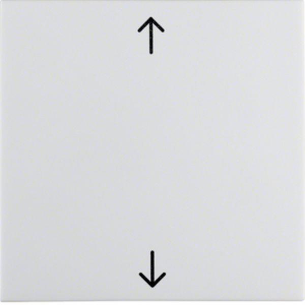 Berker Wippe m Aufdr Symbol Pfeile S.1/B.x pw Berker Wippe m Aufdr Symbol Pfeile S.1/B.x pw