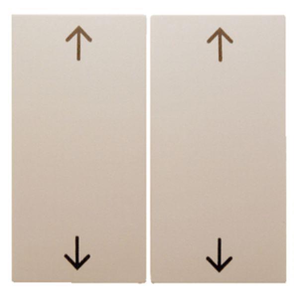 Berker Wippe m Aufdruck Pfeile S.1/B.3/B.7 weiß Berker Wippe m Aufdruck Pfeile S.1/B.3/B.7 weiß