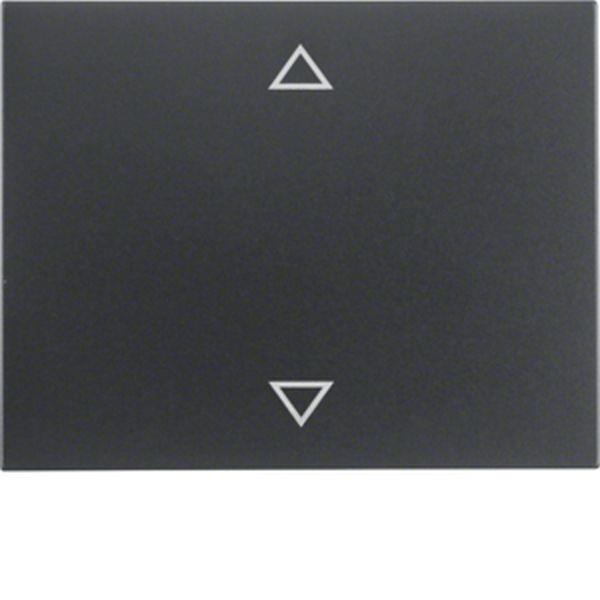 Berker Wippe mit Aufdruck Pfeile K.1 anth matt