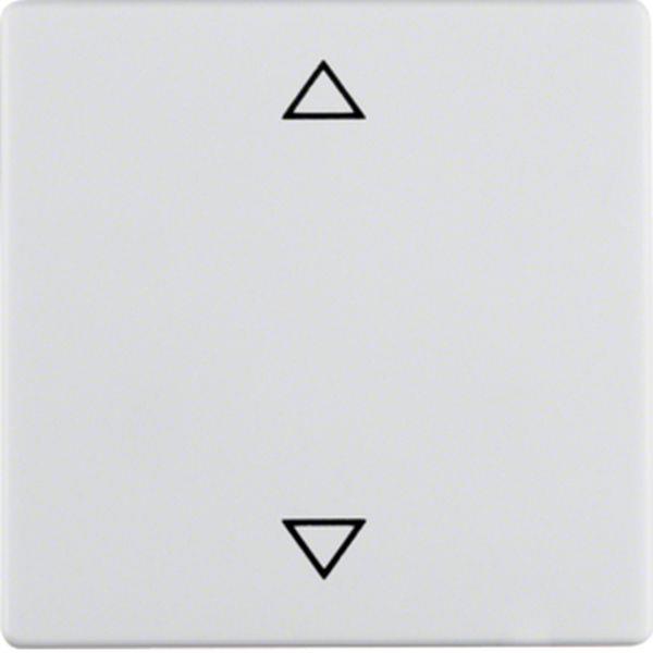 Berker Wippe mit Aufdr Symbol Pfeile Q.x pw