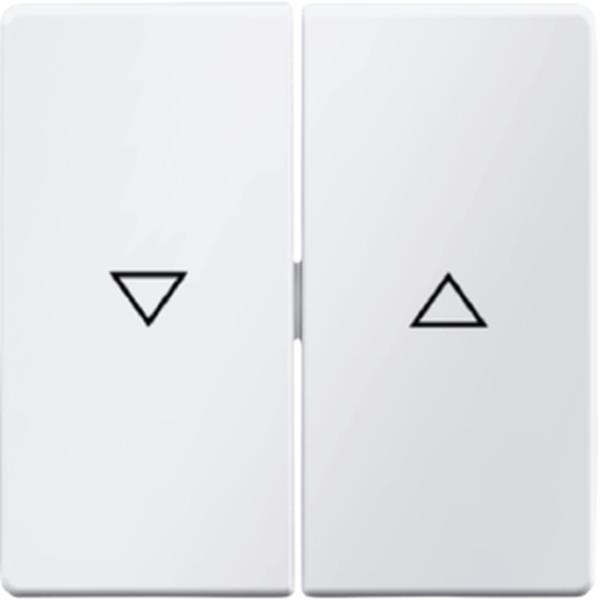 Berker Wippe 2-fach mit Aufdruck Symbol Pfeil Q.1/Q.3 polarweiß, samt