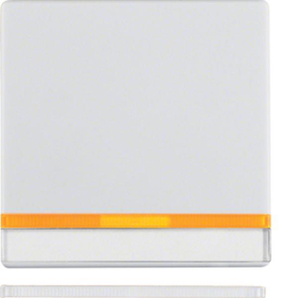 Berker Wippe m 2 Linsen u Beschrift.Q.x pw