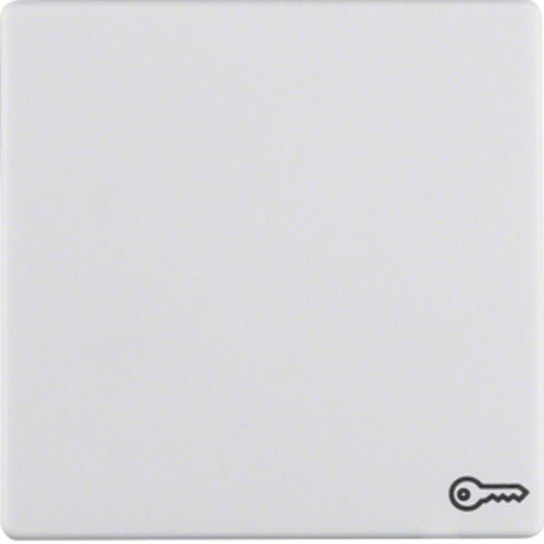 Berker Wippe mit Aufdr Symbol Tür Q.x pw Berker Wippe mit Aufdr Symbol Tür Q.x pw