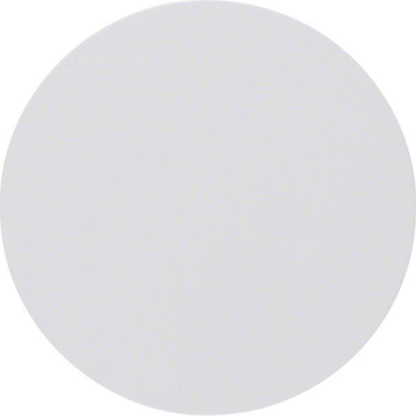 Berker Berker Wippe f. Wippschalter/Wipptastschalter Serie R.1/R.3 polarweiß, gl