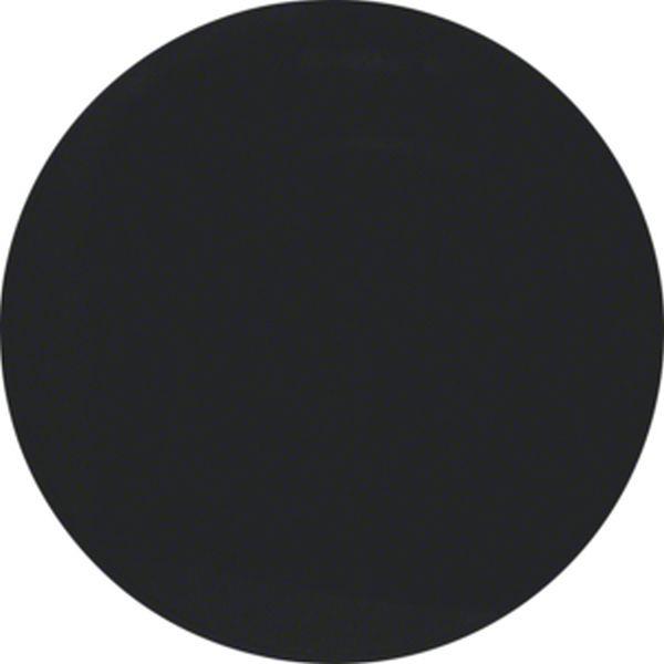 Berker Wippe R.1/R.3 schwarz glänzend