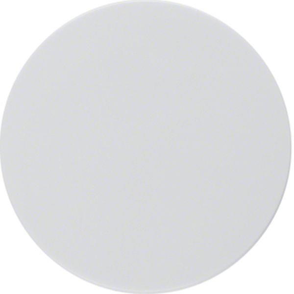 Berker Zentralstück m Knopf f D-Dimm R.1/R.3 pw