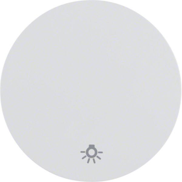 Berker Wippe mit Aufdr Symbol Licht R.1/R.3 pw