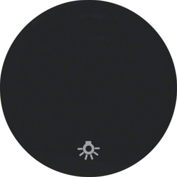 Berker Wippe mit Aufdr Symbol Licht R.1/R.3 sw