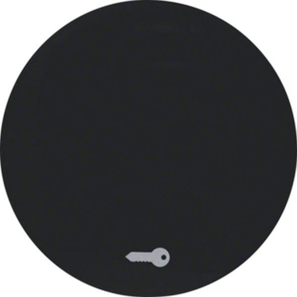 Berker Wippe mit Aufdr Symbol Tür R.1/R.3 sw