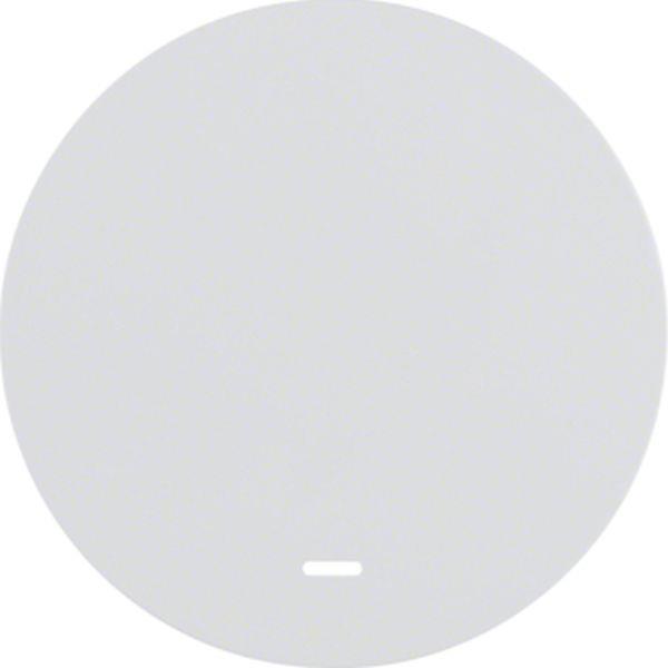 Berker Wippe m klarer Linse R.1/R.3 pw