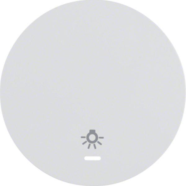 Berker Wippe m klar Linse u Sym Licht R1/3 pw