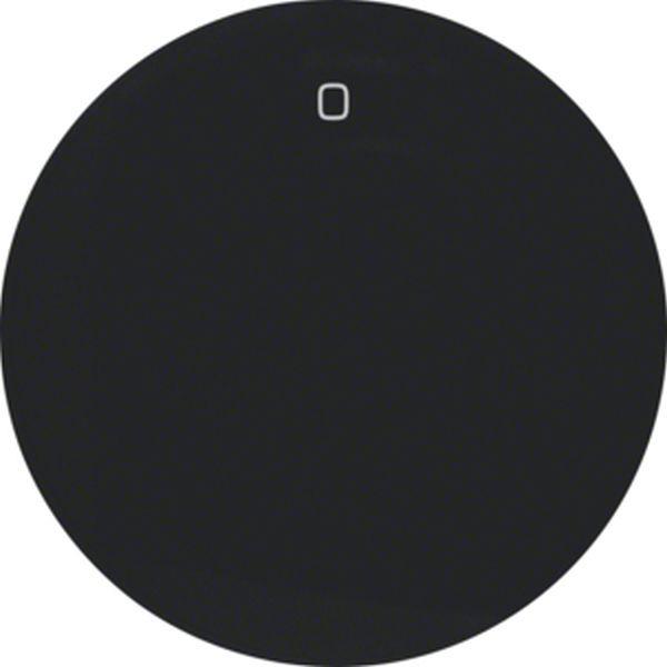 Berker Wippe m Aufdruck 0 R.1/R.3 schwarz