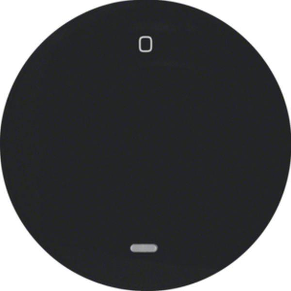 Berker Wippe m klarer Linse u Aufdru 0 R.1/3 sw