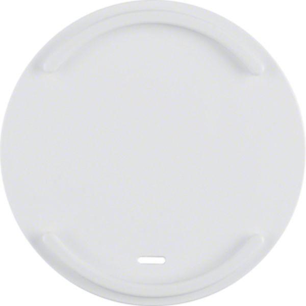 Berker Wippe klar Linse Führ. f Mstab R1/3 pw