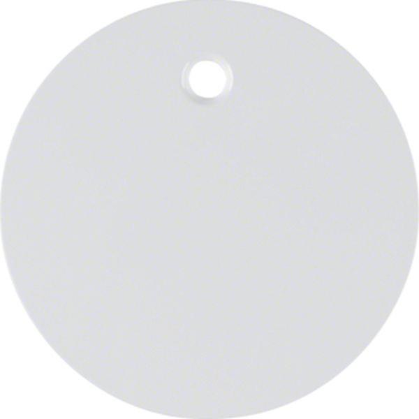 Berker Zentralstück f Zugsch/tast R.1/R.3 pw