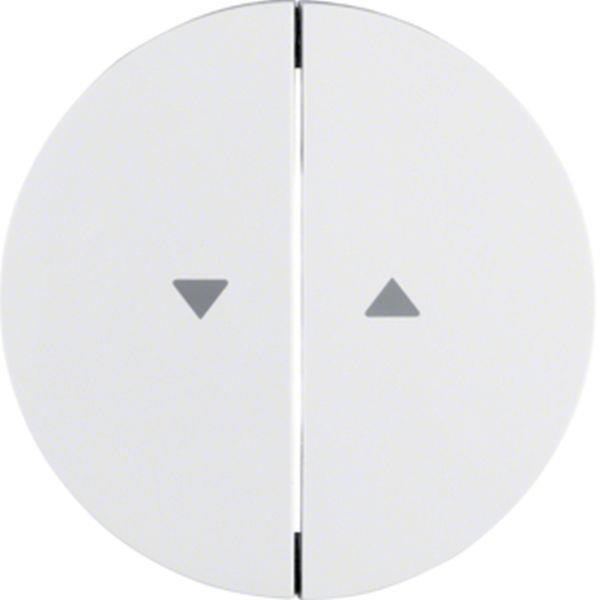 Berker Wippen m Aufdruck Symbol Pfeil R.1/3 pw