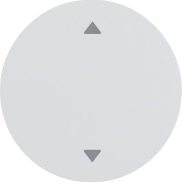 Berker Wippe mit Aufdr Symbol Pfeile R.1/R.3 pw