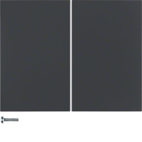 Berker Taste 2fach K.1 anthrazit matt