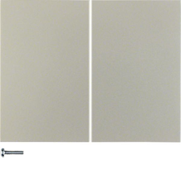 Berker Taste 2fach K.5 edelstahl lackiert