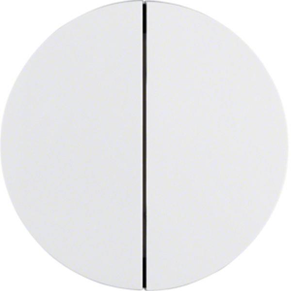 Berker Taste 2fach R.1/R.3 polarweiß glänzend