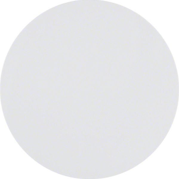 Berker KNX-Funk Taste 1f quickl R.1/R.3 pw