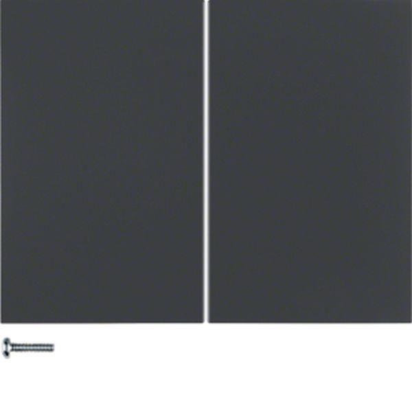 Berker KNX-Funk Taste 2f quickl K.1 anthrazit