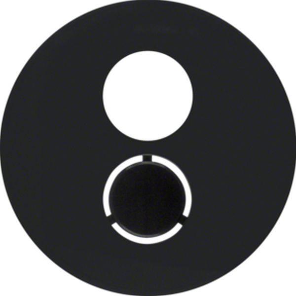 Berker Zentralstück f Lsp-Std 1F R.1 schwarz