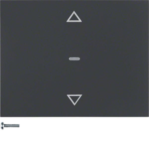 Berker Jalousie-Taste K.1 anthrazit matt