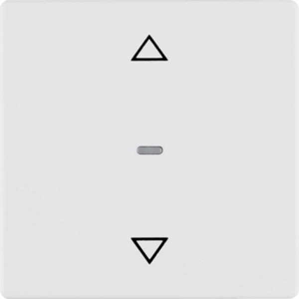 Berker Berker Jalousie-Taste Q.x polarweiß, samt, Jalousiesteuerung