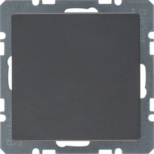 Berker Berker Blindverschluss mit Zentralstück Serie Q.x anthrazit, samt