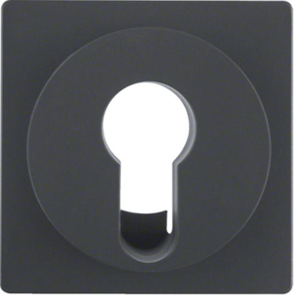 Berker Zentralstück f Schlüsselsch. Q.x anth