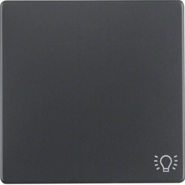 Berker Wippe mit Aufdr Symbol Licht Q.x ant