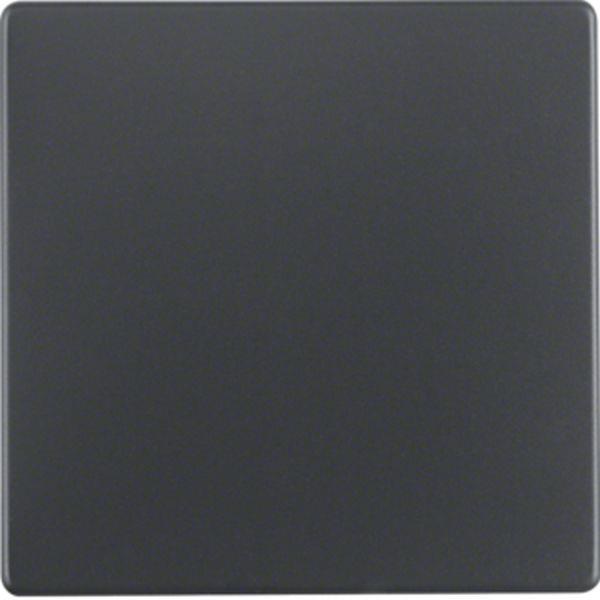 Berker Berker Wippe für Wippschalter + Wipptastschalter Serie Q.x anthrazit, sam