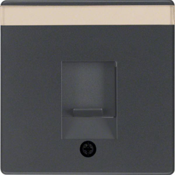 Berker Zentralstück m Staubs u BF Q.x anthrazit