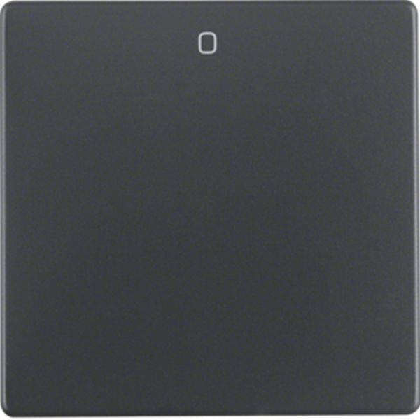 Berker Wippe m Aufdruck 0 Q.x anthrazit sam