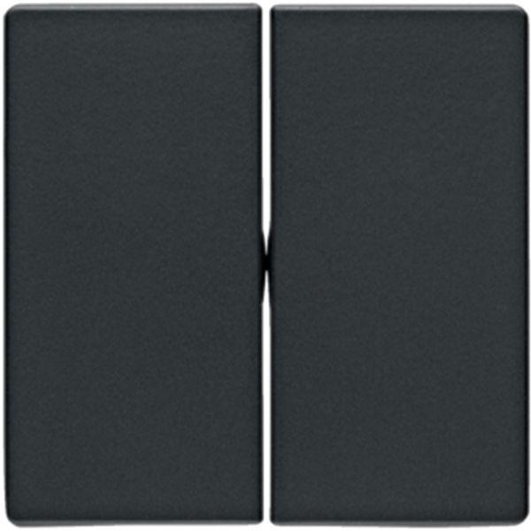 Berker Berker Wippe für Wippschalter 2-fach Serie Q.x anthrazit, samt