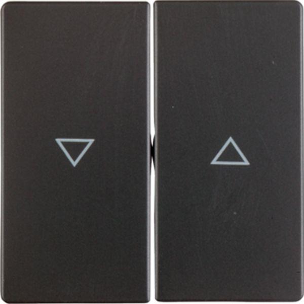 Berker Berker Wippen 2-fach mit Aufdruck Symbol Pfeil Serie Q.x anthrazit, samt