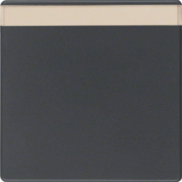 Berker Wippe m Beschrift.f Q.x anthrazit