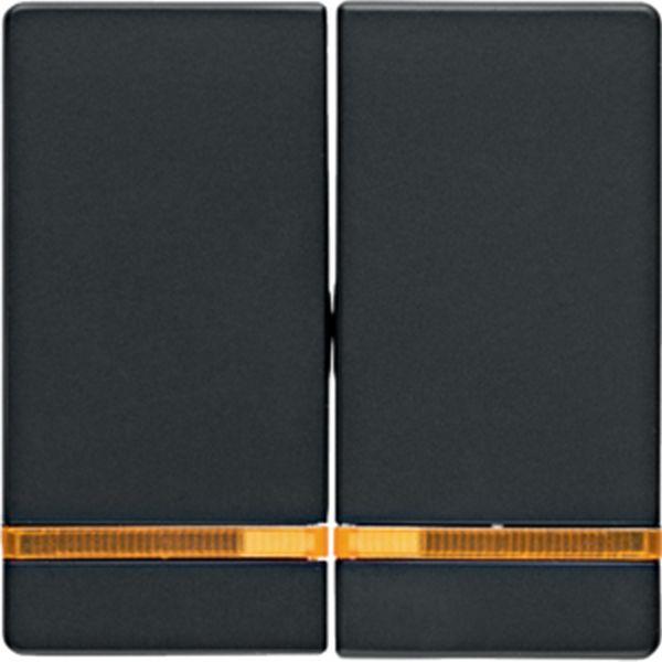 Berker Wippen m Linse Q.x anthrazit