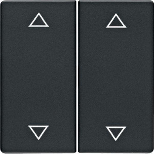 Berker Wippe m Aufdruck Pfeile Q.x anthr