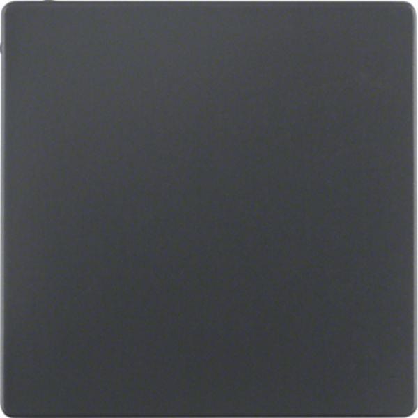 Berker Blindverschluss Q.x anthrazit samt Berker Blindverschluss Q.x anthrazit samt