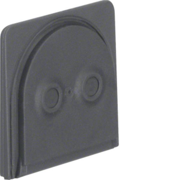 Berker Leitungseinführung für 2 Leitungen W1 gr